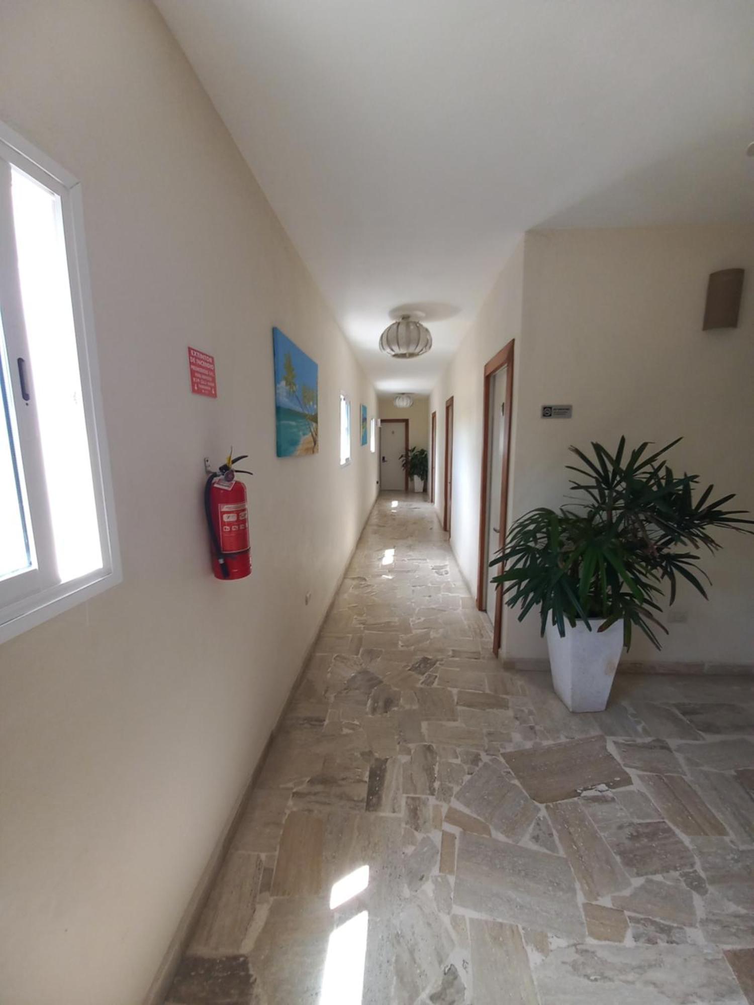 Hotel Casa Olga Las Terrenas Kültér fotó